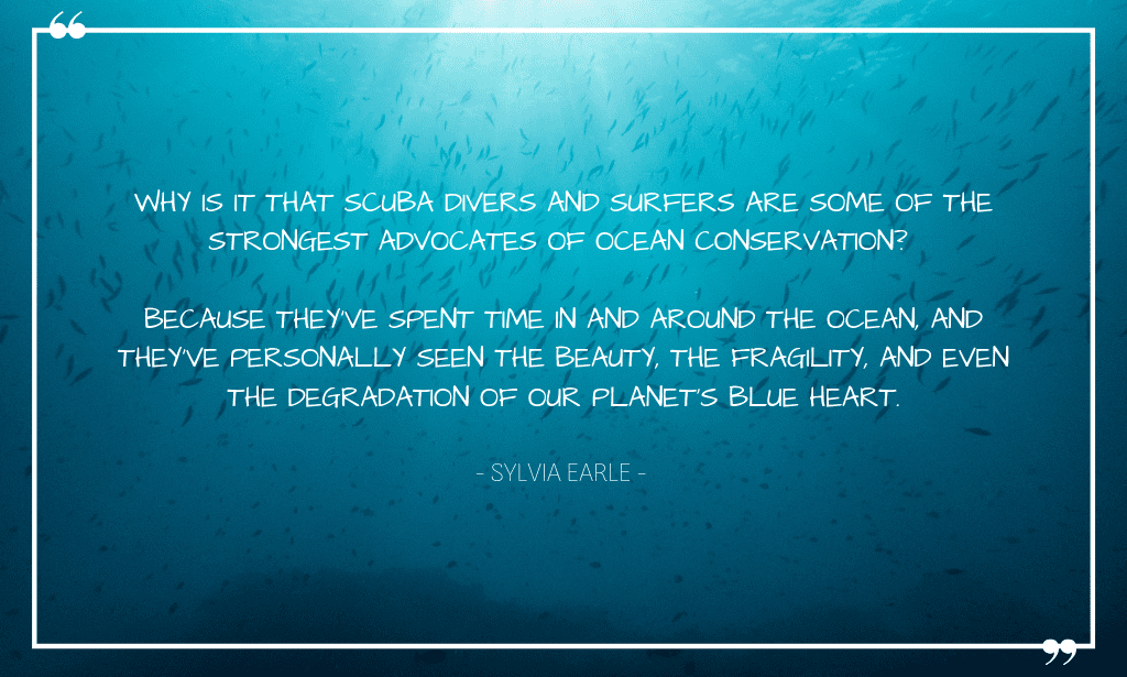 Wise words from famous marine biologist Sylvia Earle