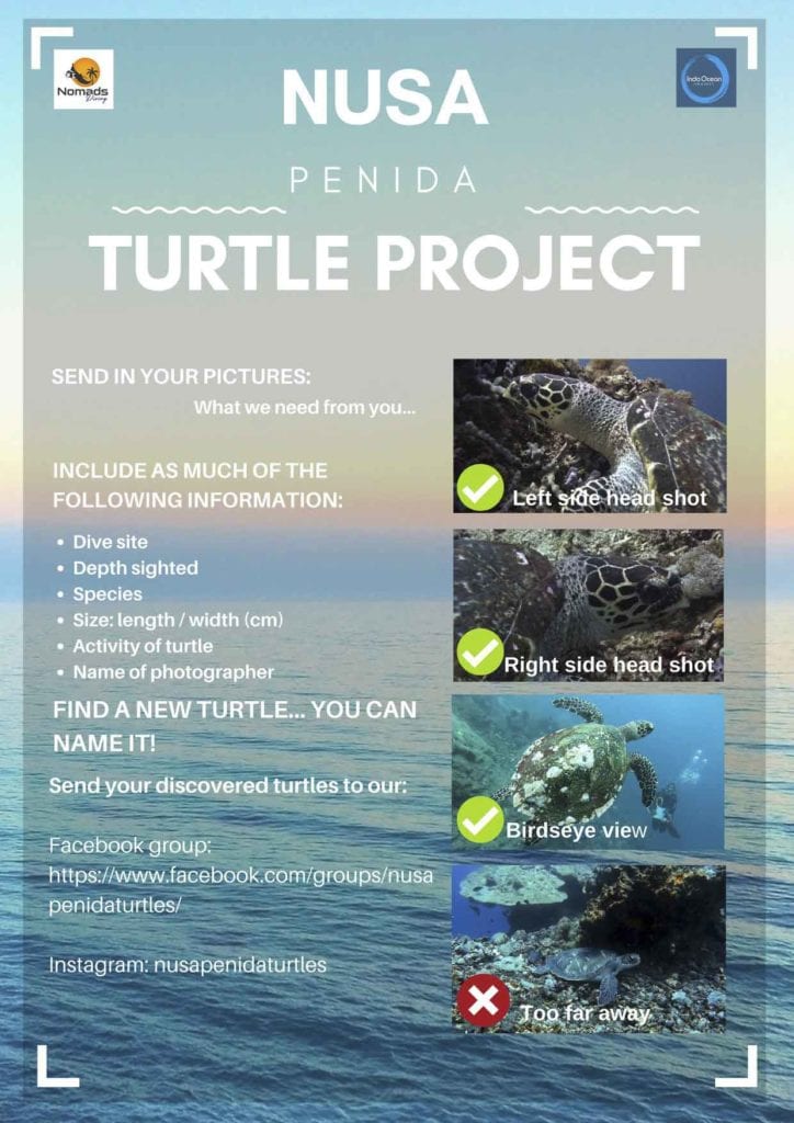 Requested information for submitting your turtle pictures to the Nusa Penida Turtle Project