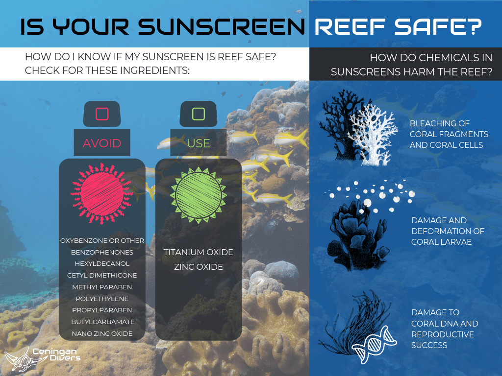 Infographic showing what ingredients to check to make sure your sunscreen is reef safe. Use sunscreen with zinc oxide or titanium oxide.